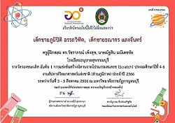 Certificate of Appreciation for Teacher Who Coached the Activity.